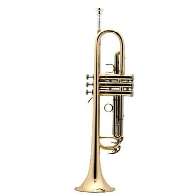 Bb student trumpet