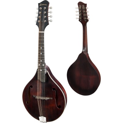 Mandolins and Bouzoukis