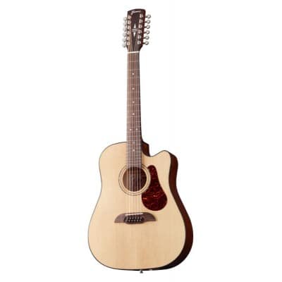 12-string acoustic/electric