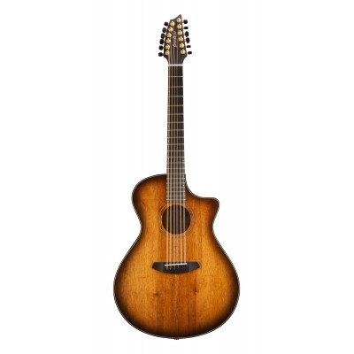 12-string acoustic/electric