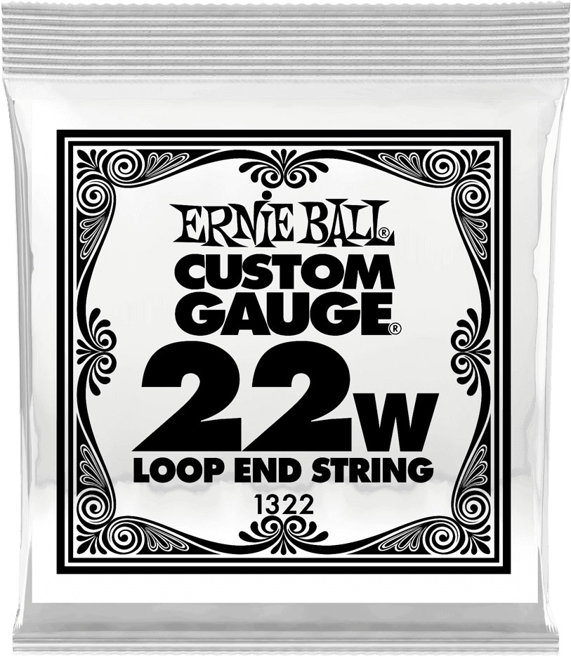ERNIE BALL .022 LOOP END STAINLESS STEEL WOUND BANJO OR MANDOLIN GUITAR STRINGS