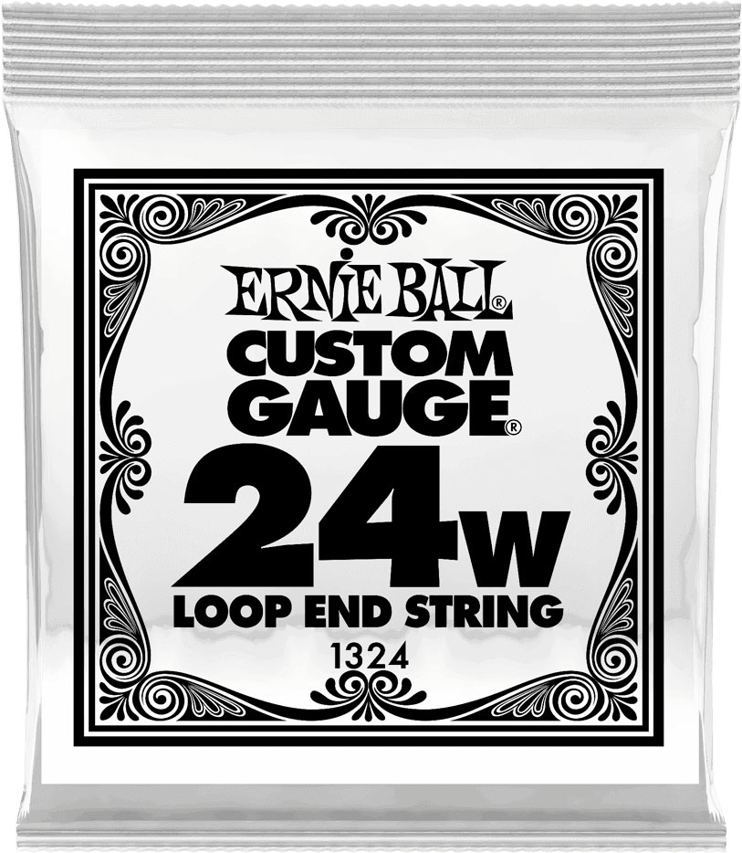 ERNIE BALL .024 LOOP END STAINLESS STEEL WOUND BANJO OR MANDOLIN GUITAR STRINGS