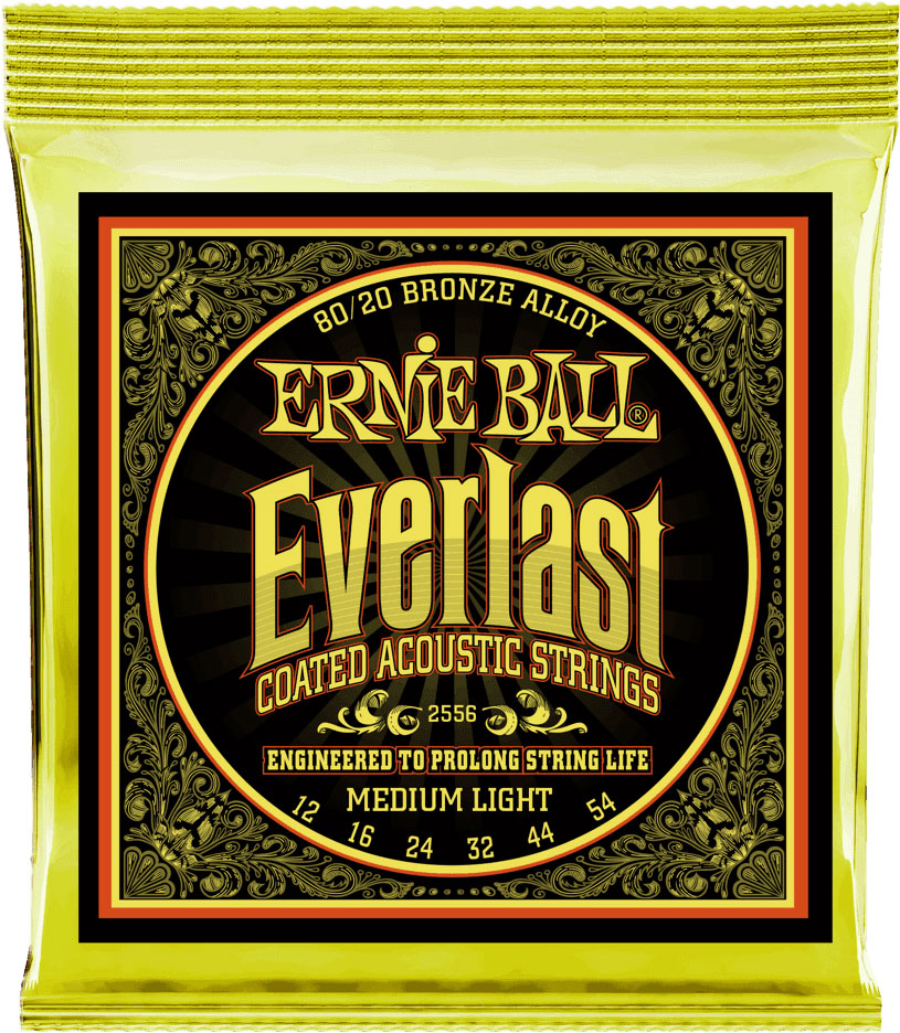 ERNIE BALL EP02556 EVERLAST BRONZE 80/20 12-54 MEDIUM LIGHT