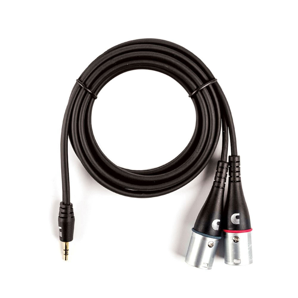 D'ADDARIO AND CO CUSTOM SERIES 1/8 TO DUAL XLR AUDIO CABLE 