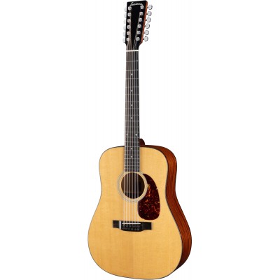 12-string acoustic/electric