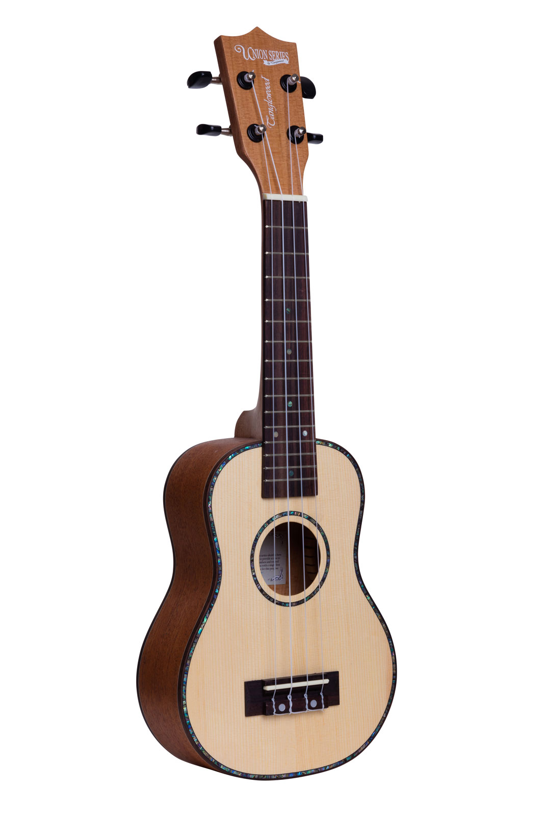 TANGLEWOOD DISCOVERY DBT F EB NATURAL SATIN