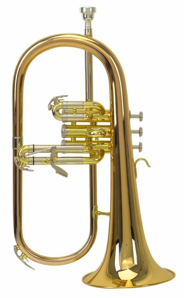 ROY BENSON BUGLE SI BEMOL D'ETUDE ROY BENSON FH-302G 