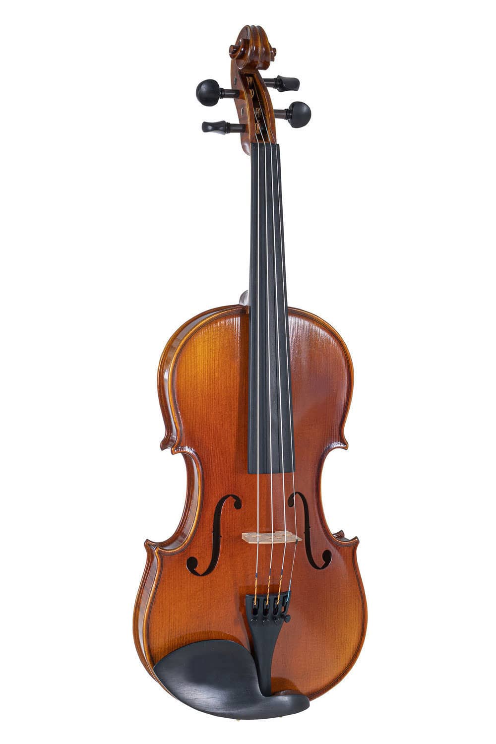 GEWA 4/4 VIOLIN PREPARED FOR PLAYING, PROFILED CASE, MASSARANDUBA BOW, LARSEN IL CANNONE STRINGS