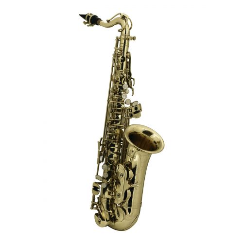 Saxophones alto étude