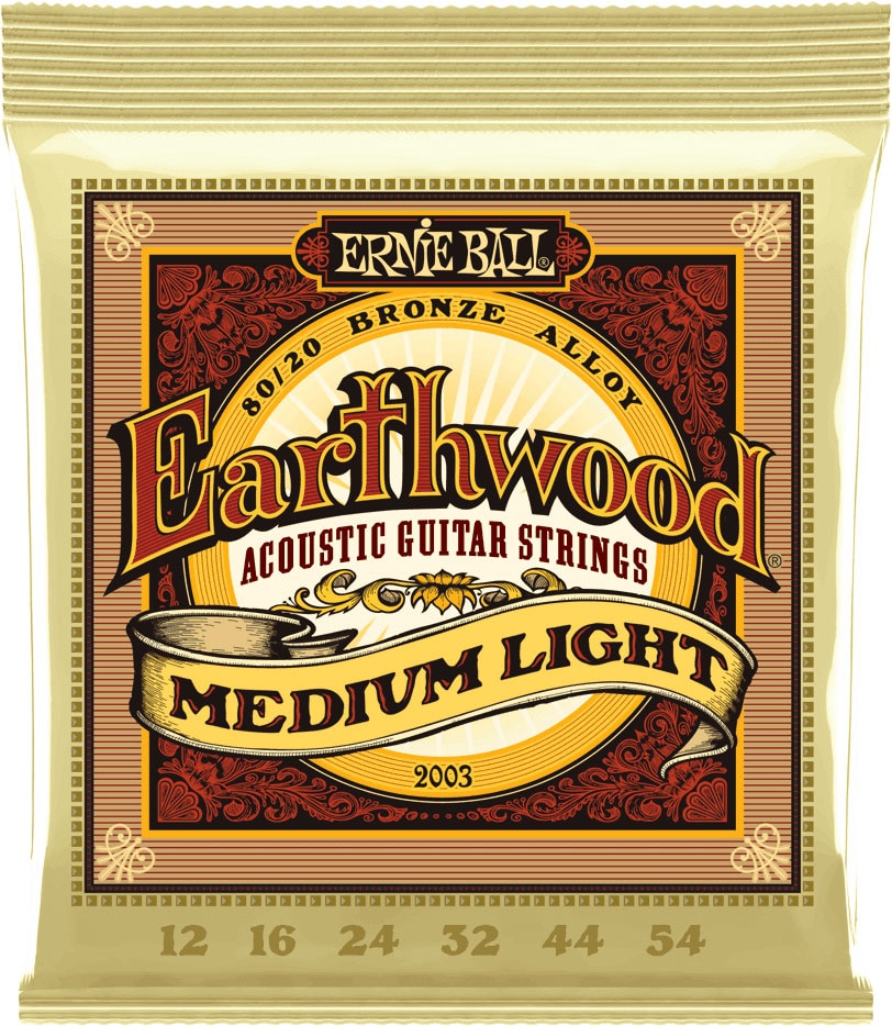 ERNIE BALL 2003 EARTHWOOD 80/20 BRONZE MEDIUM LIGHT 12-54