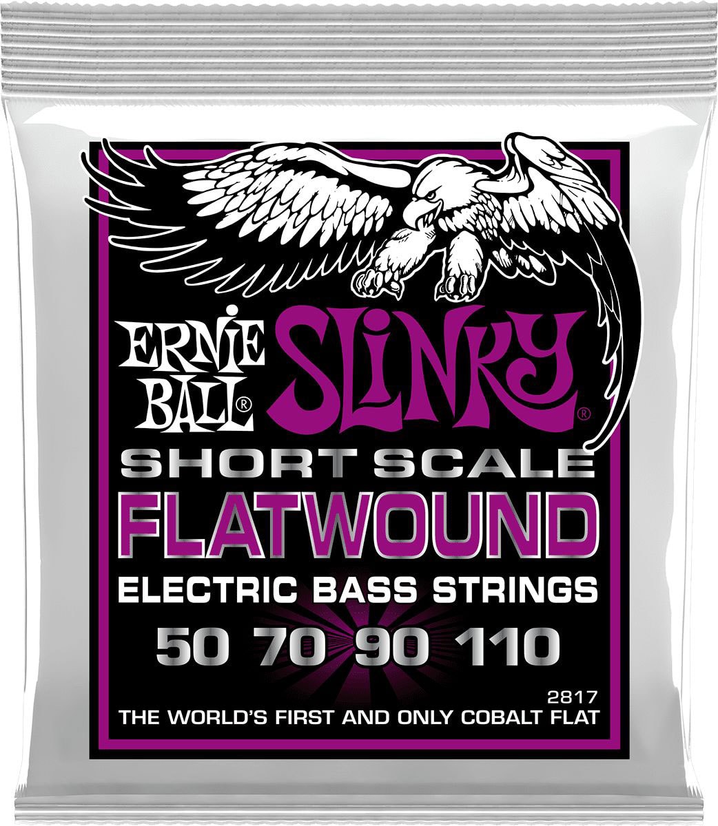 ERNIE BALL 2817 FILET PLAT POWER SLINKY FLATWOUND SHORT SCALE 55-110