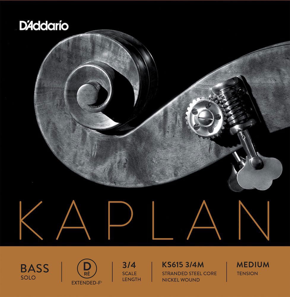 D'ADDARIO AND CO CORDE (RE ETENDUE) POUR CONTREBASSE3/4 KAPLAN SOLO MEDIUM