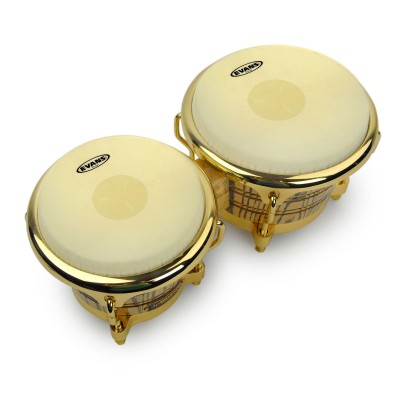 Peaux de bongos