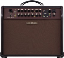 Roland Acoustic Singer Pro