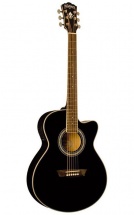 Washburn Ea 12 B