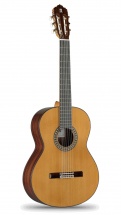 Alhambra 5 P Spruce