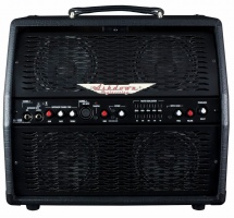 Ashdown Aa-100-r