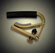 Shubb Guitare 12 Cordes C3
