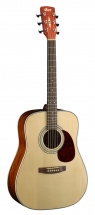 Cort Earth70 Natural Gloss Top