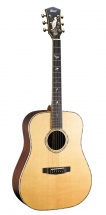 Cort Earth-le2 Skull Gloss
