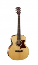 Cort Little Cj Walnut Naturel Pores Ouverts
