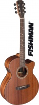 Jn Guitars Dev-acfi E/a Audit Gt Cw-sld Maho/maho