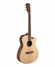 Jn Guitars Asy-ace E/a Audit Gt Cw-sld Spru/maho