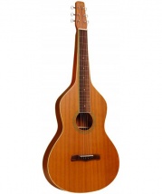 Gold Tone Gt-wb Weissenborn Guitar+bag