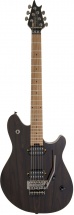 Evh Wg Std, Bkd M Fb, Ziricote