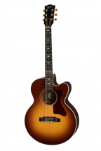 Gibson Parlor Ag Rosewood (burst) 2019