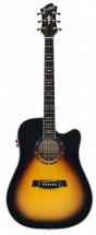 Hagstrom Siljan Dreadnought Tsb E/a Ctw