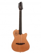 Godin A10 Natural Steel Mahogany Cedar + Housse