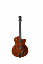 Godin 5th Avenue Uptown Custom Havana Burst With Tric