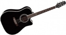 Takamine Signature Steve Wariner
