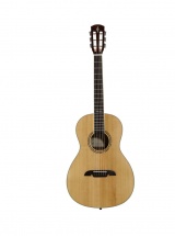 Alvarez Gaucher Ap70l