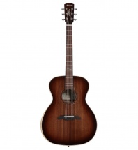 Alvarez Agw77ar Artist Series