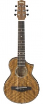 Ibanez Ewp14wb Opn Open Pore Natural + Housse