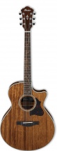 Ibanez Ae245 Nt