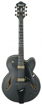 Ibanez Artcore Afc125 Bkf