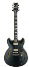 Ibanez Jsm20-bkl Black Low Gloss
