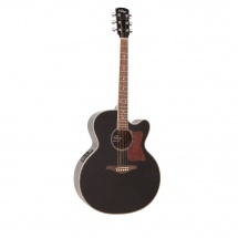 Vintage Guitars Vecj100bk Gloss Black