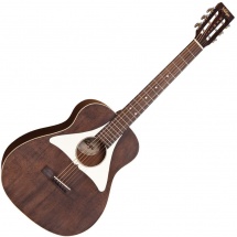 Vintage Guitars Vge800n By Paul Brett
