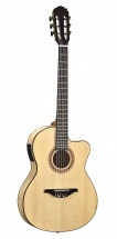 Manuel Rodriguez C10 Cutaway En Arce