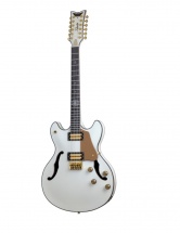 Schecter Wayne Hussey Ivy