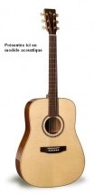 Simon and Patrick Showcase Mahogany Electro