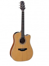 Takamine Gd20ce-ns Tp4-td