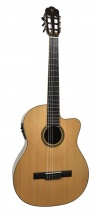 Tanglewood Twce 4