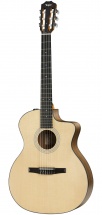 Taylor Guitars 114ce-n Esn Nylon Grand Auditorium