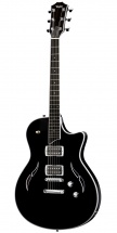 Taylor T3 Black + Etui