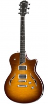 Taylor T3 Honey Sunburst + Etui
